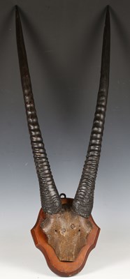 LOT 2490