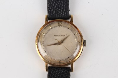 LOT 1144