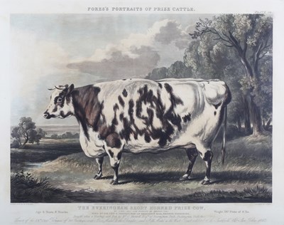 LOT 30