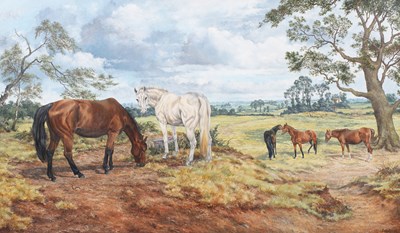 LOT 264