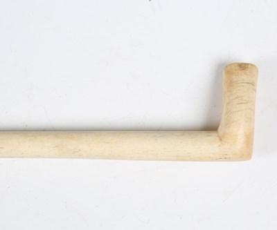LOT 2556