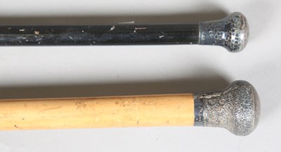 LOT 2568