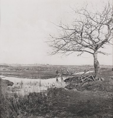 LOT 3353