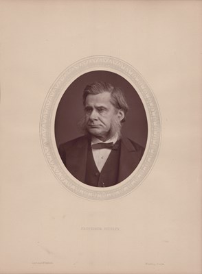 LOT 3377