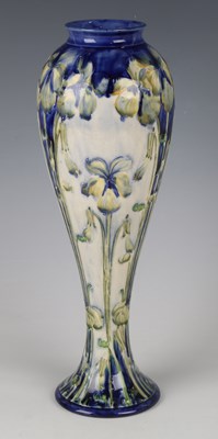 LOT 1561