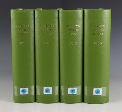 LOT 3631