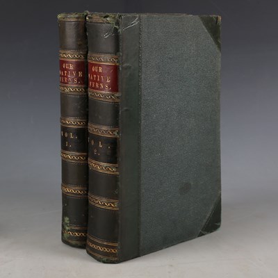 LOT 3736