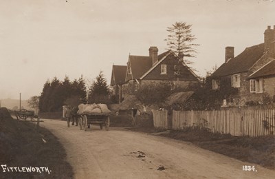 LOT 3170