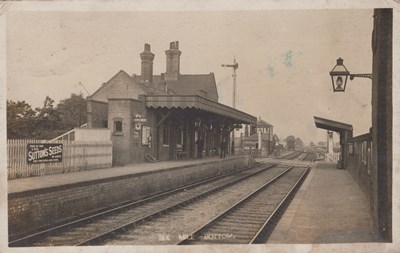 LOT 3239