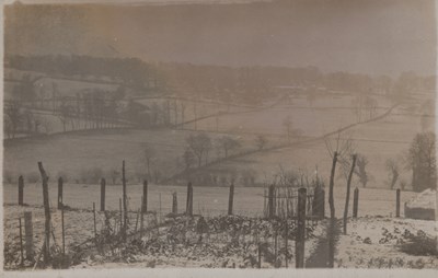 LOT 3253