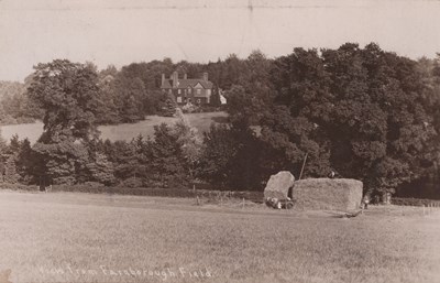 LOT 3260