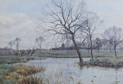 LOT 50