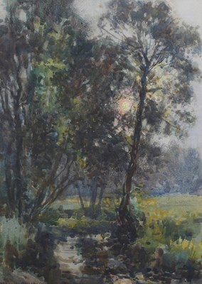 LOT 113