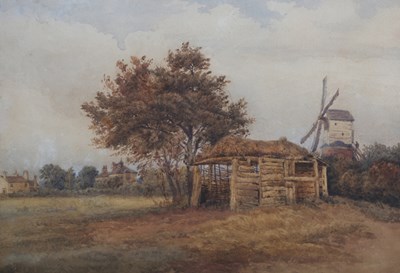 LOT 229