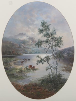 LOT 254
