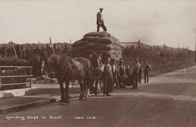 LOT 3178