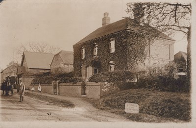 LOT 3239