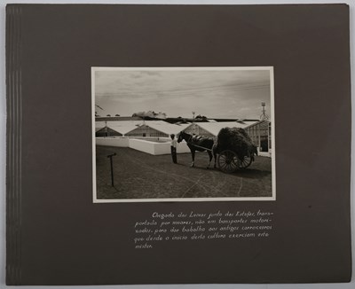 LOT 3352