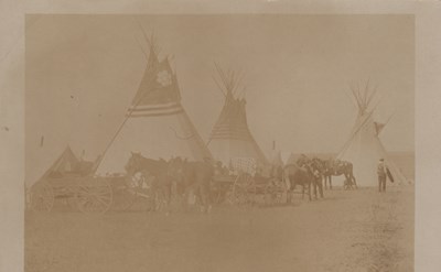 LOT 3353
