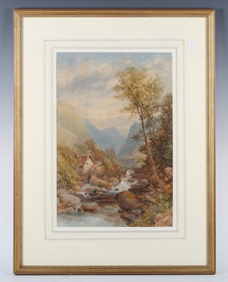 LOT 7