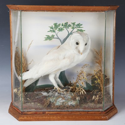 LOT 2583