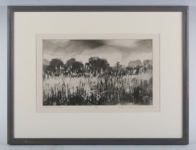 LOT 67