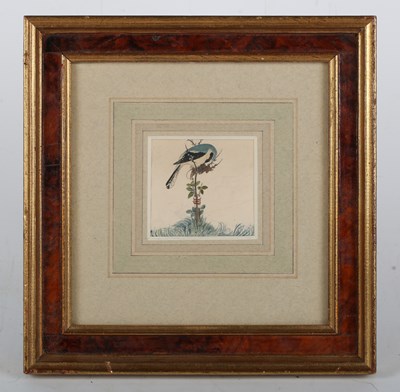 LOT 120