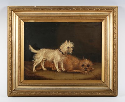 LOT 164