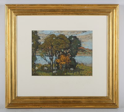 LOT 213