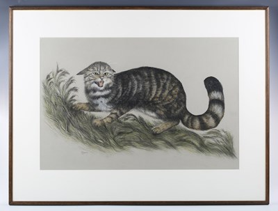 LOT 249