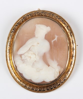 LOT 583