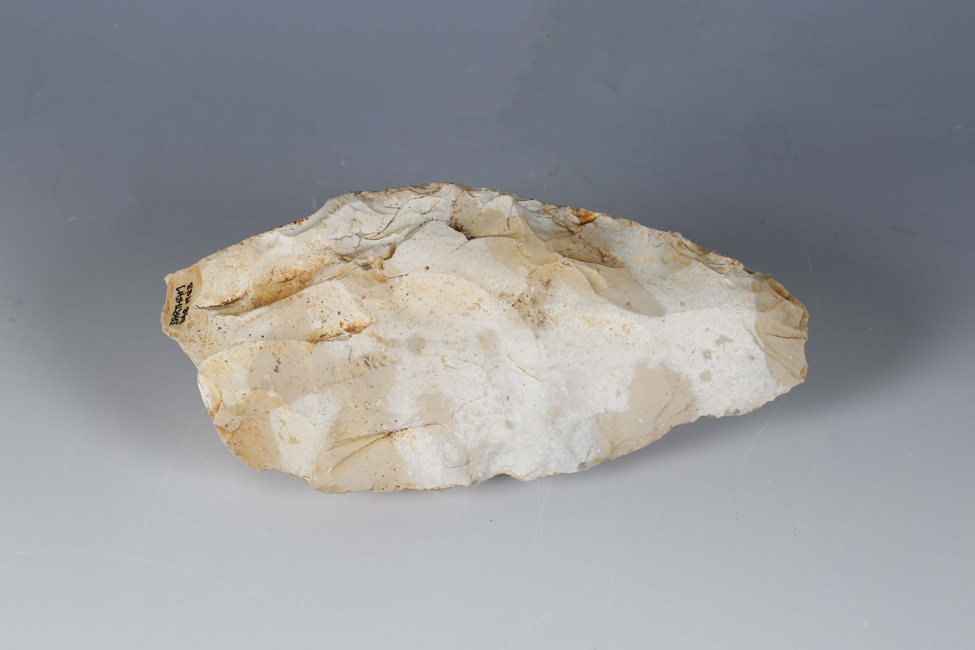 LOT 2389