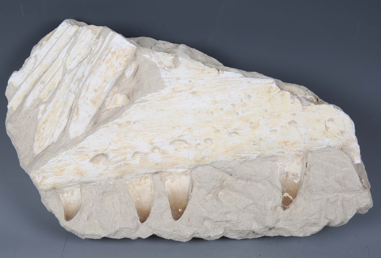 LOT 2395