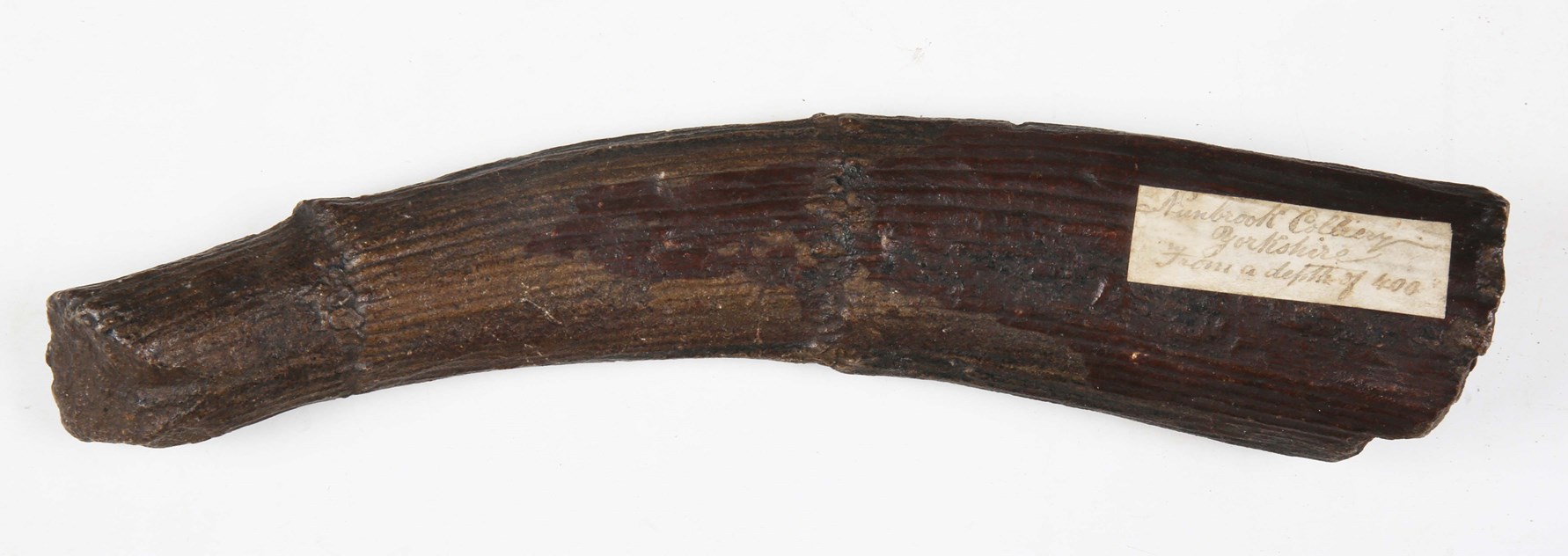 LOT 2407