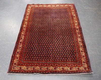 LOT 2923