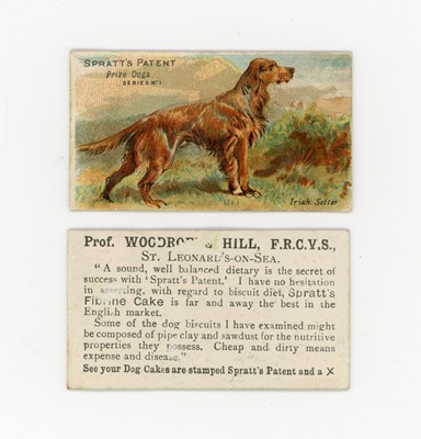 LOT 3105