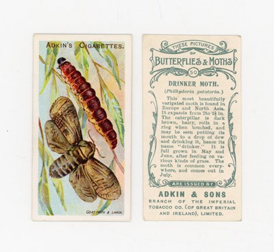 LOT 3120