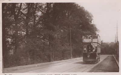 LOT 3160