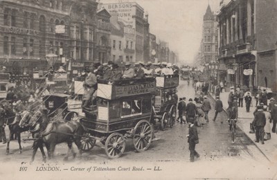 LOT 3161