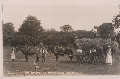 LOT 3166