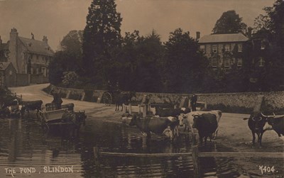 LOT 3167
