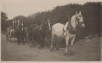 LOT 3201