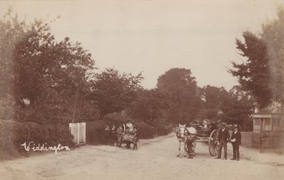 LOT 3219