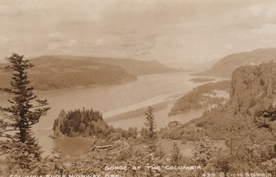 LOT 3288