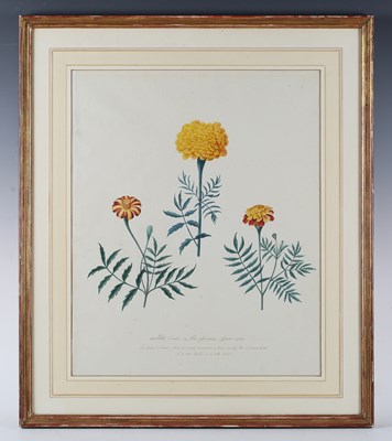 LOT 21