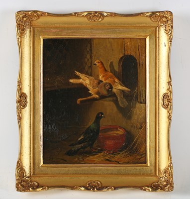 LOT 25