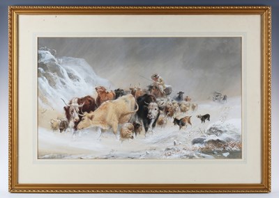 LOT 31