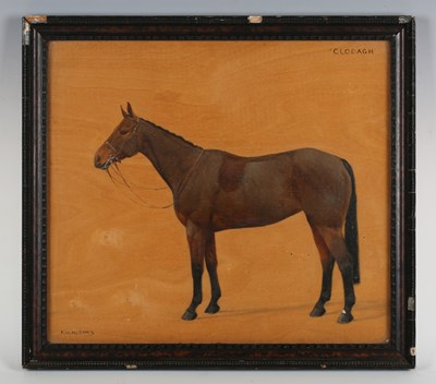 LOT 65