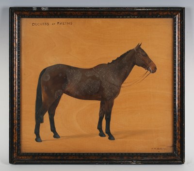 LOT 66