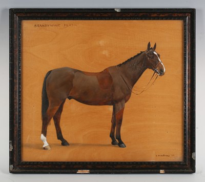 LOT 67
